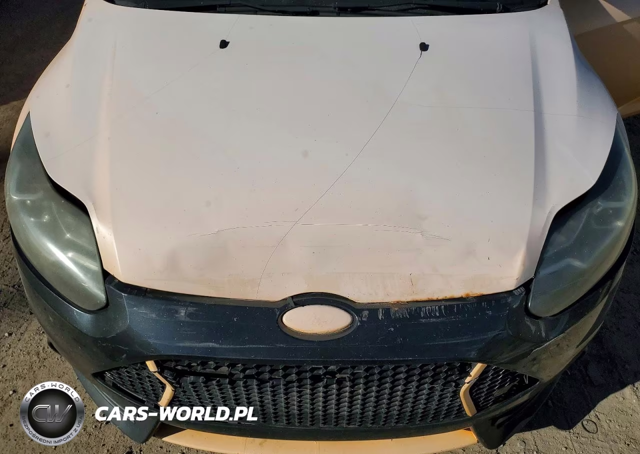2013 Ford Focus St VIN:1FADP3L91DL168880 - 12