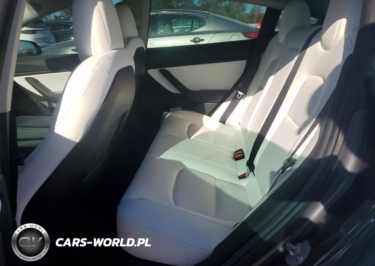 2019 Tesla Model 3 VIN:5YJ3E1EB9KF393418 - 10