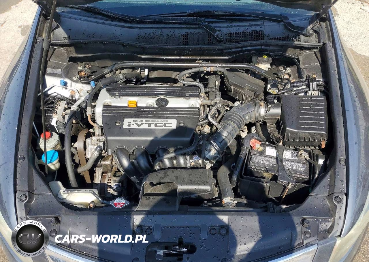 2009 Honda Accord Ex VIN:1HGCP26769A197998 - 11