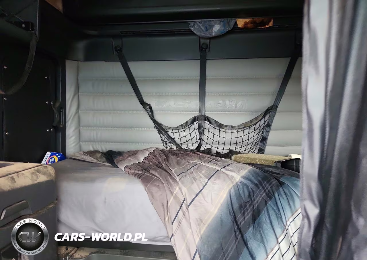 2023 Freightliner Cascadia 126 Semi Truck VIN:3AKJHHDR4PSUM6033 - 10
