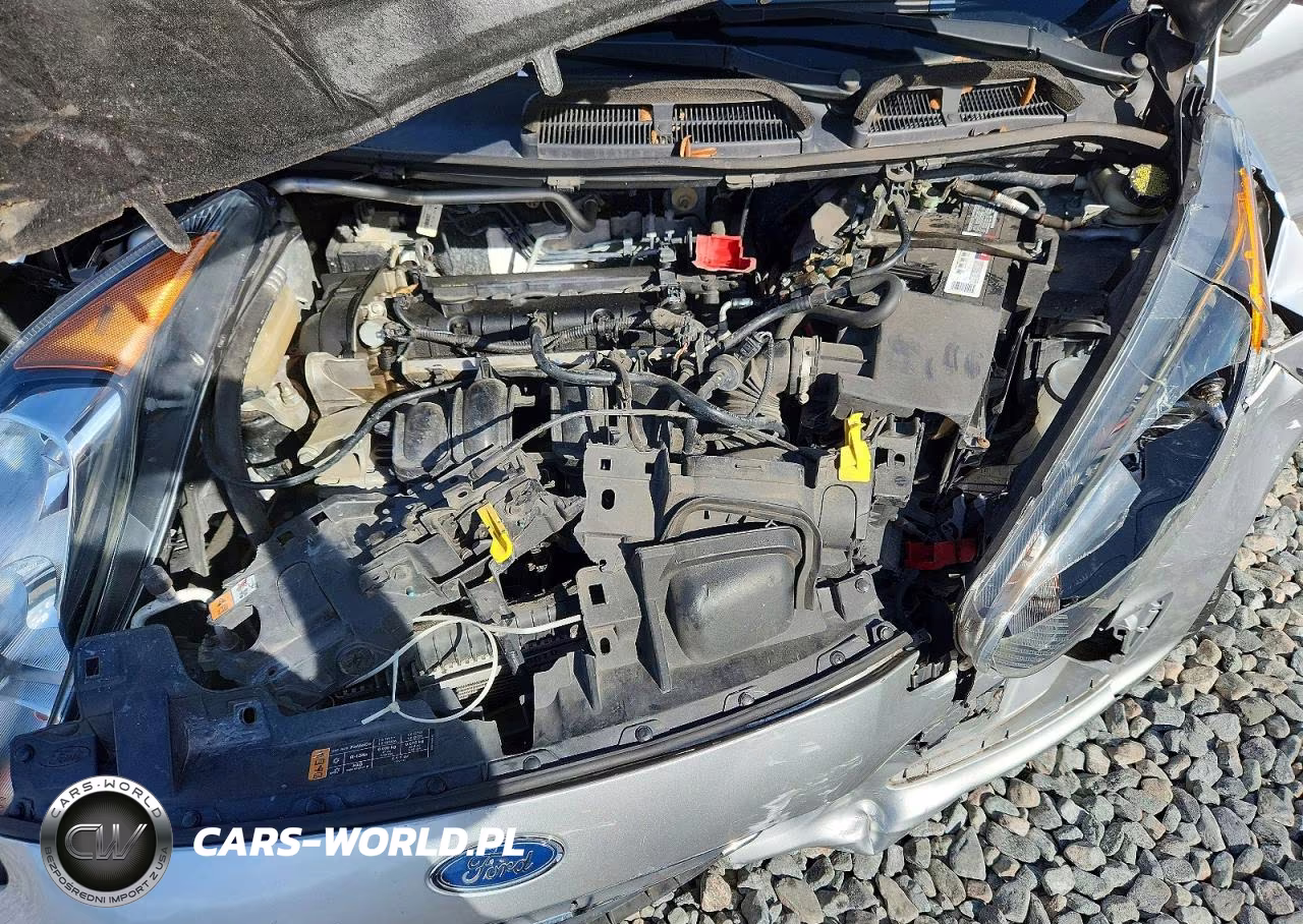 2014 Ford Fiesta Se VIN:3FADP4EJ8EM195054 - 11