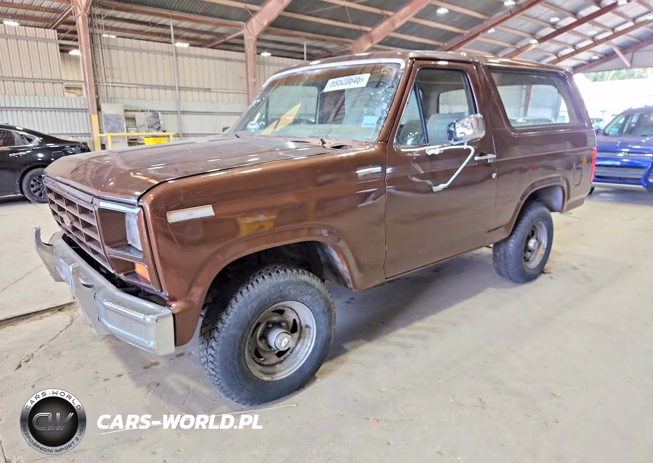 1983 Ford Bronco U100 VIN:1FMEU15F2DLA60052 - 1