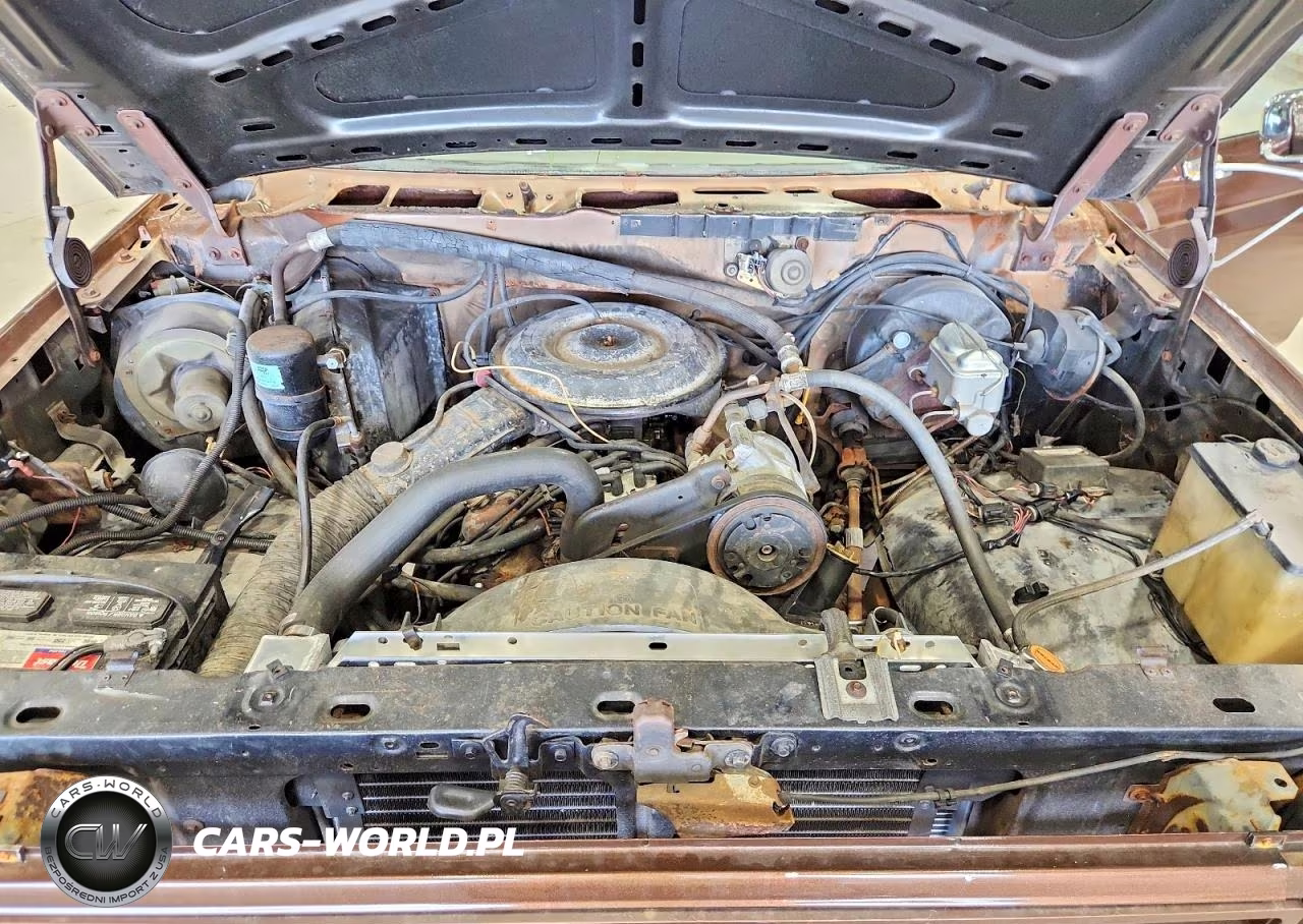 1983 Ford Bronco U100 VIN:1FMEU15F2DLA60052 - 11