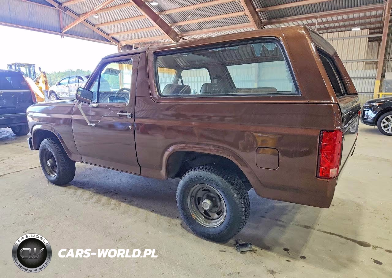 1983 Ford Bronco U100 VIN:1FMEU15F2DLA60052 - 2