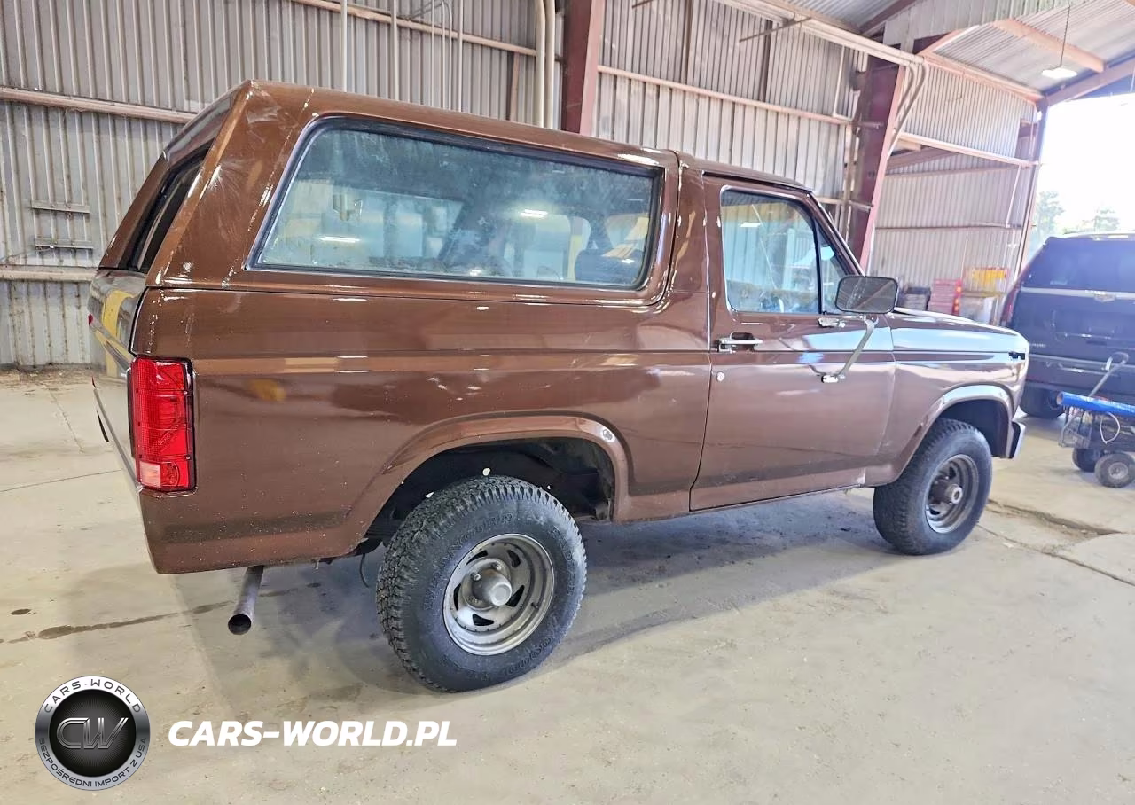 1983 Ford Bronco U100 VIN:1FMEU15F2DLA60052 - 3