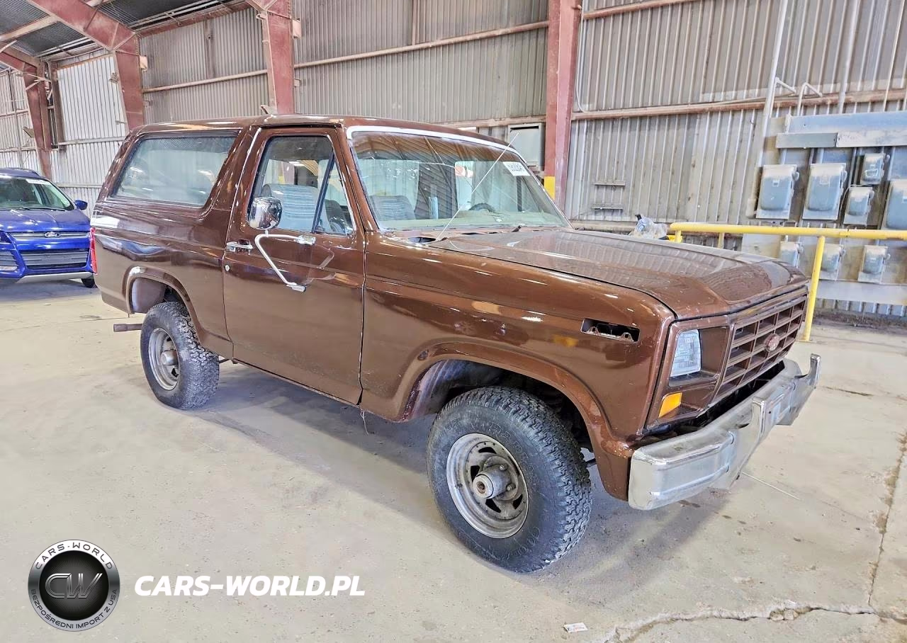 1983 Ford Bronco U100 VIN:1FMEU15F2DLA60052 - 4