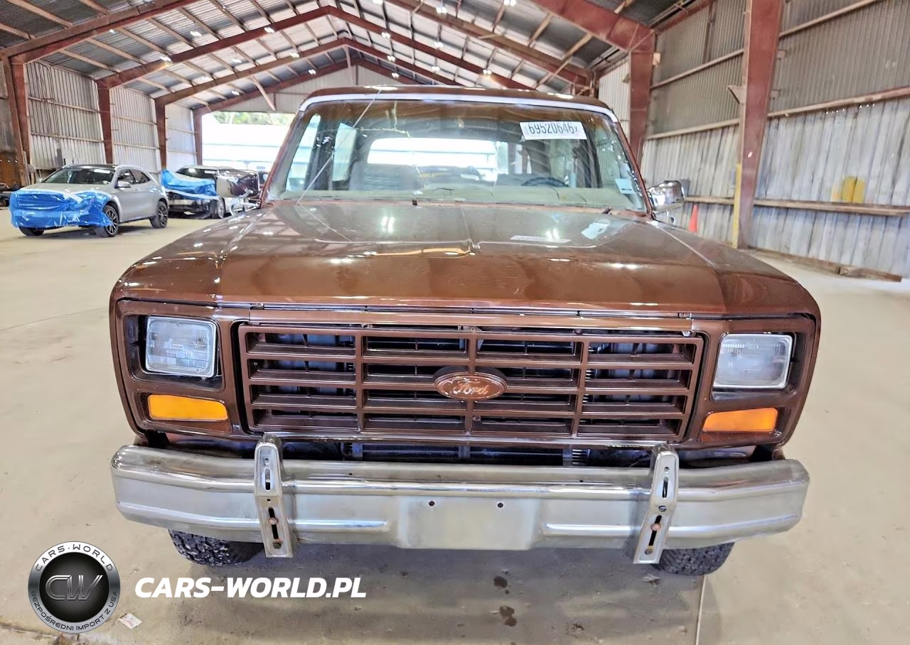 1983 Ford Bronco U100 VIN:1FMEU15F2DLA60052 - 5