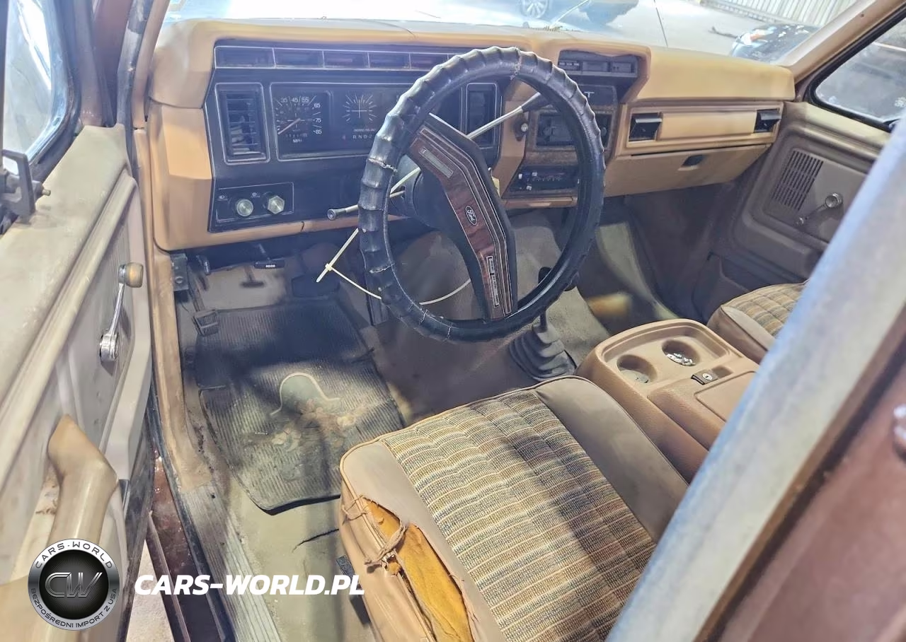 1983 Ford Bronco U100 VIN:1FMEU15F2DLA60052 - 8