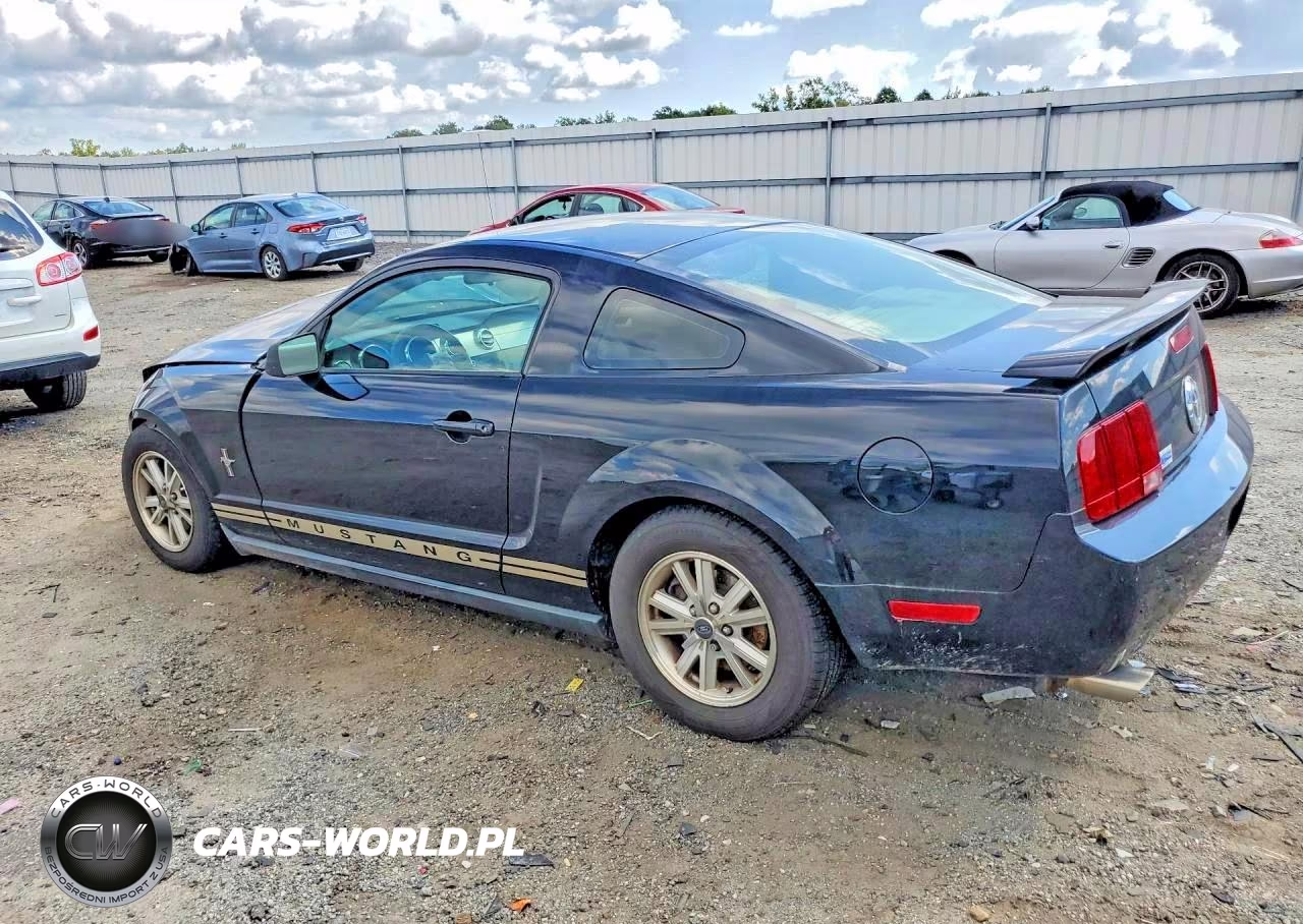 2006 Ford Mustang VIN:1ZVFT80N765136811 - 2