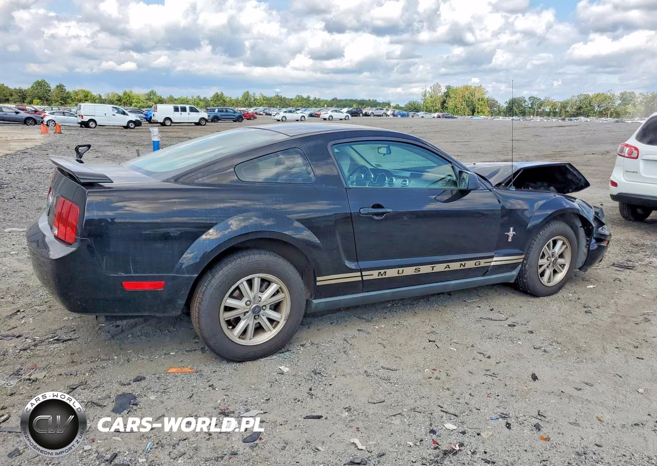 2006 Ford Mustang VIN:1ZVFT80N765136811 - 3