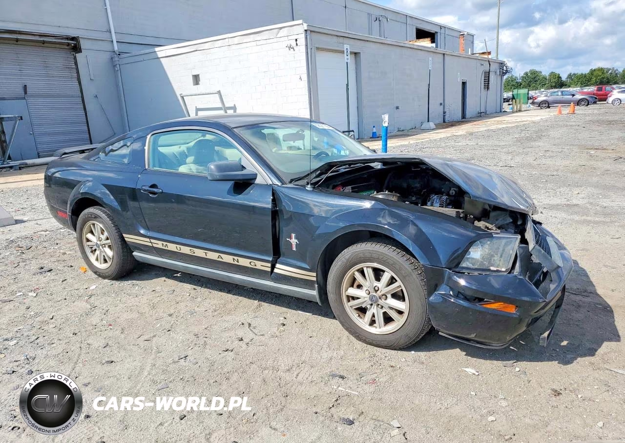 2006 Ford Mustang VIN:1ZVFT80N765136811 - 4