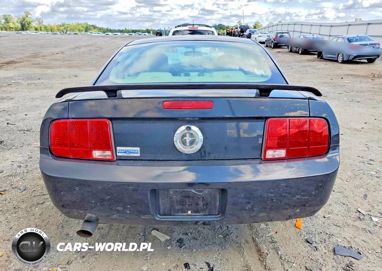 2006 Ford Mustang VIN:1ZVFT80N765136811 - 6