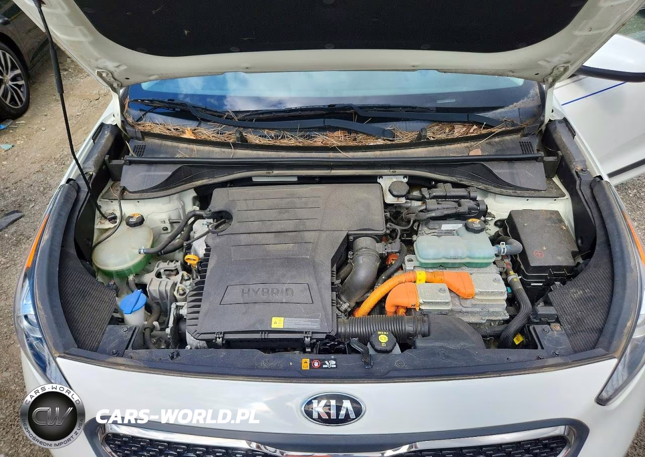 2019 Kia Niro Lx VIN:KNDCB3LC1K5346742 - 11