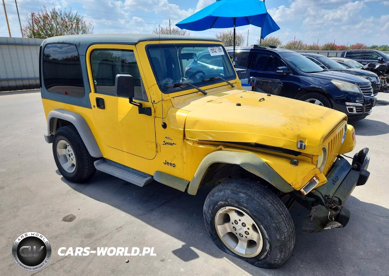 2001 Jeep Wrangler - Tj Sport VIN:1J4FA49S31P316188 - 4