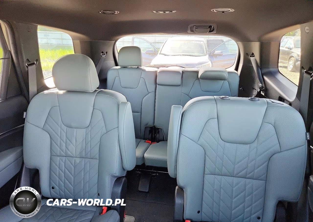 2024 Kia Telluride Ex X-Line VIN:5XYP3DGC3RG431551 - 10