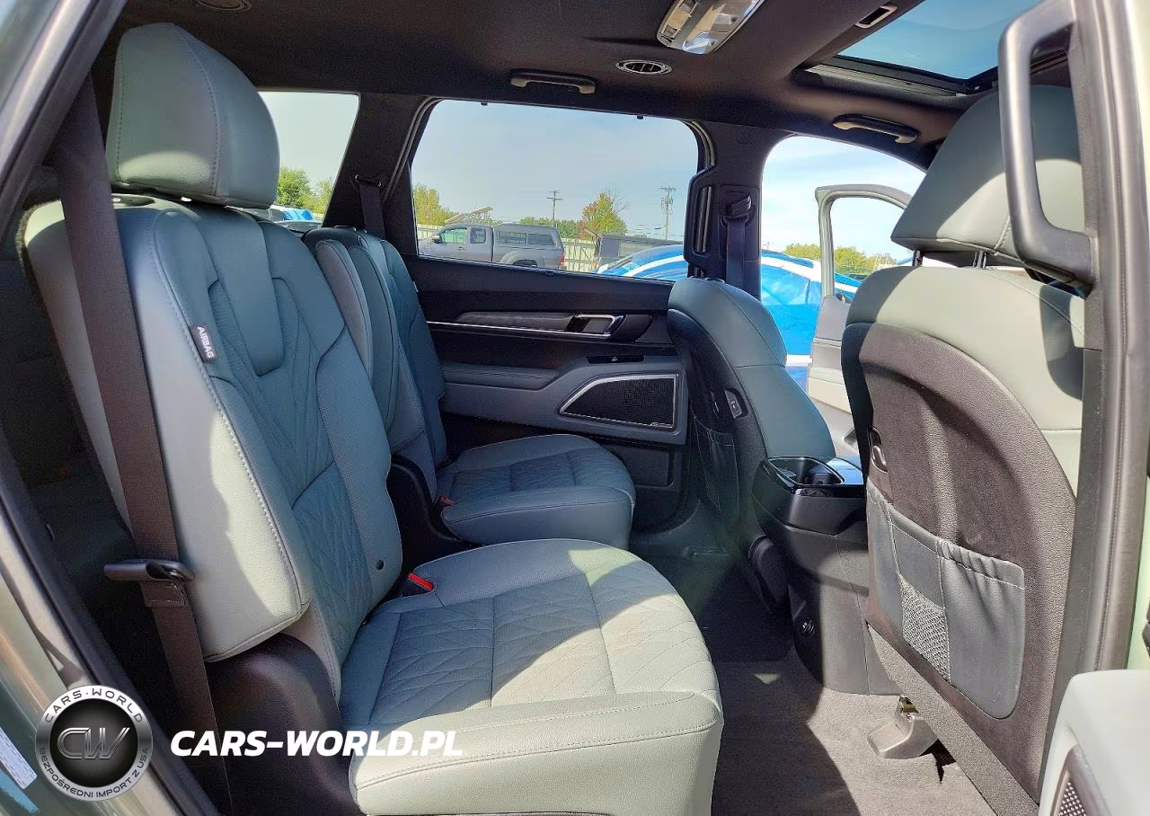 2024 Kia Telluride Ex X-Line VIN:5XYP3DGC3RG431551 - 11