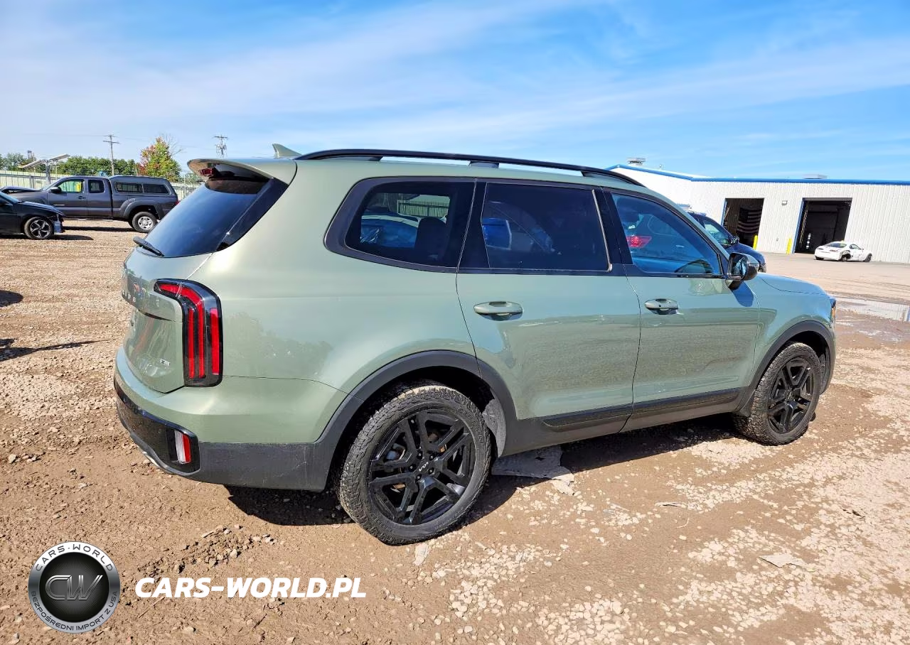 2024 Kia Telluride Ex X-Line VIN:5XYP3DGC3RG431551 - 3
