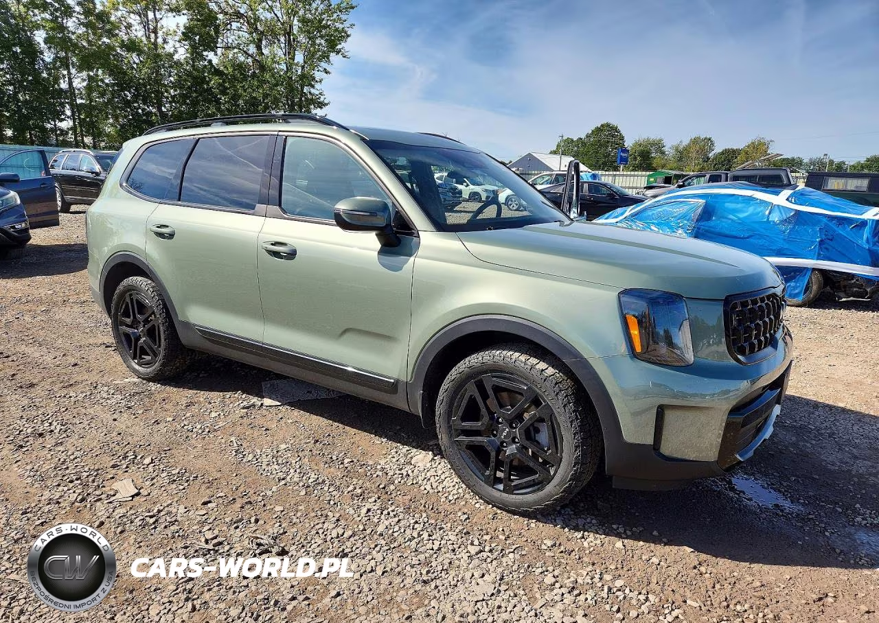 2024 Kia Telluride Ex X-Line VIN:5XYP3DGC3RG431551 - 4