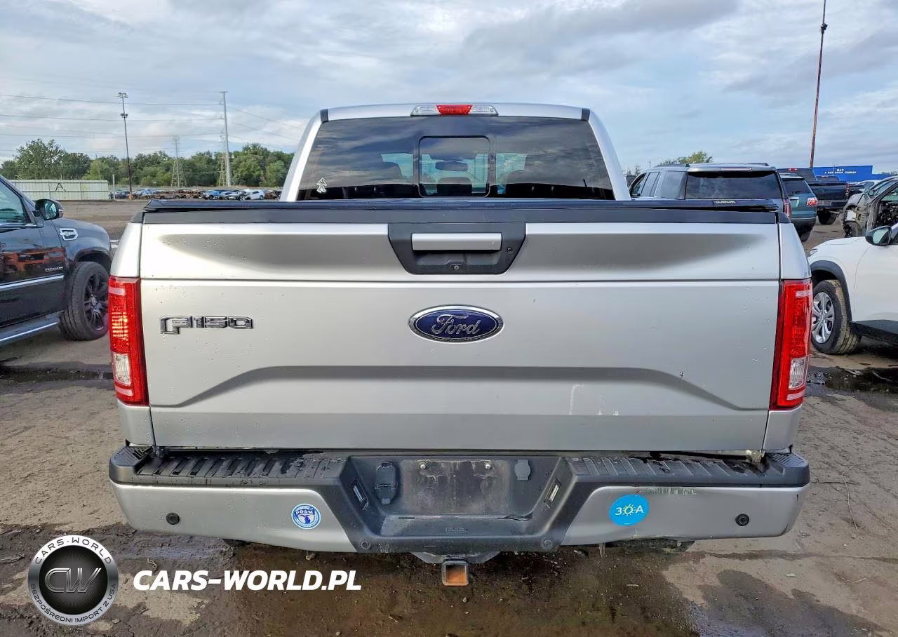 2016 Ford F150 Supercrew VIN:1FTEW1EPXGFD17579 - 6