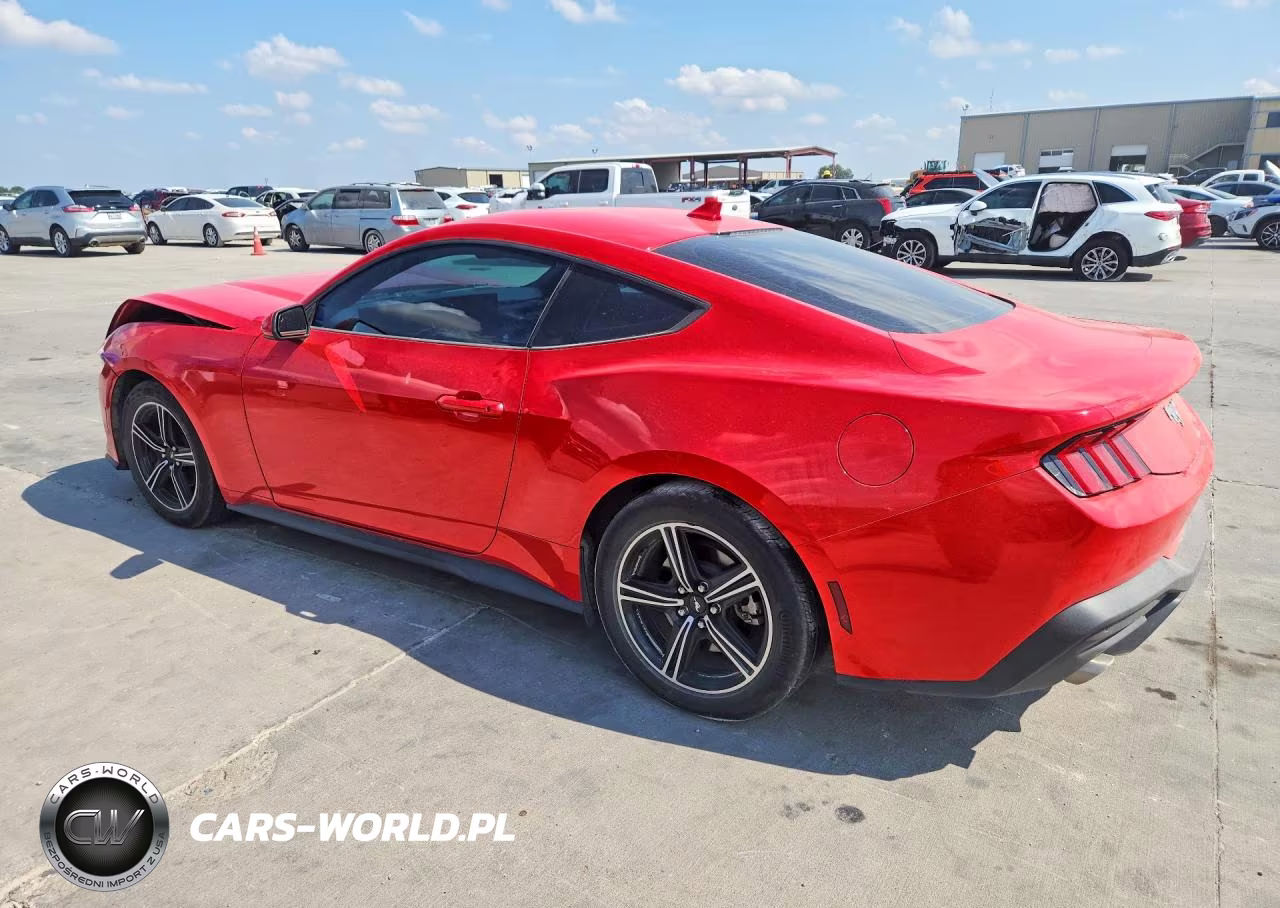 2024 Ford Mustang VIN:1FA6P8THXR5106497 - 2