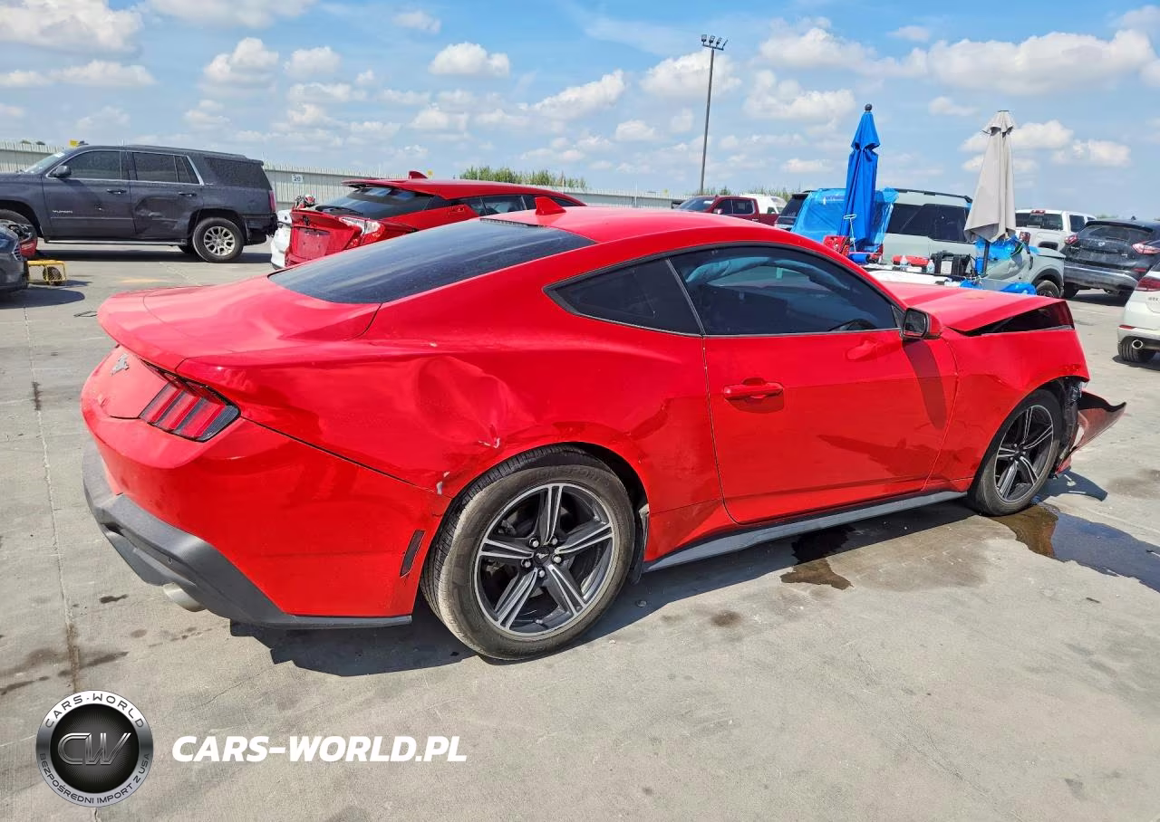 2024 Ford Mustang VIN:1FA6P8THXR5106497 - 3