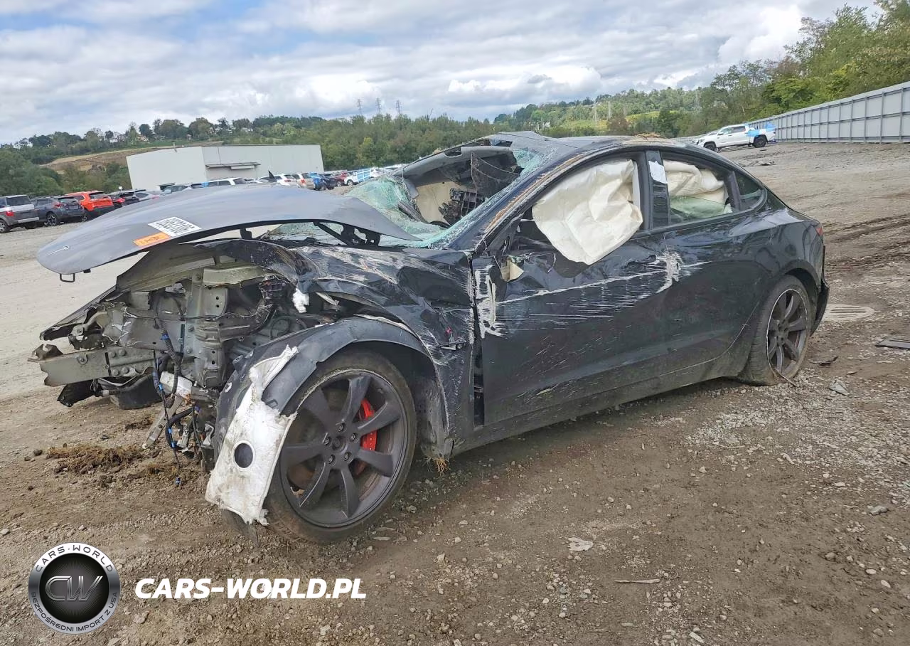 2024 Tesla Model 3 VIN:5YJ3E1ET7RF856501 - 1
