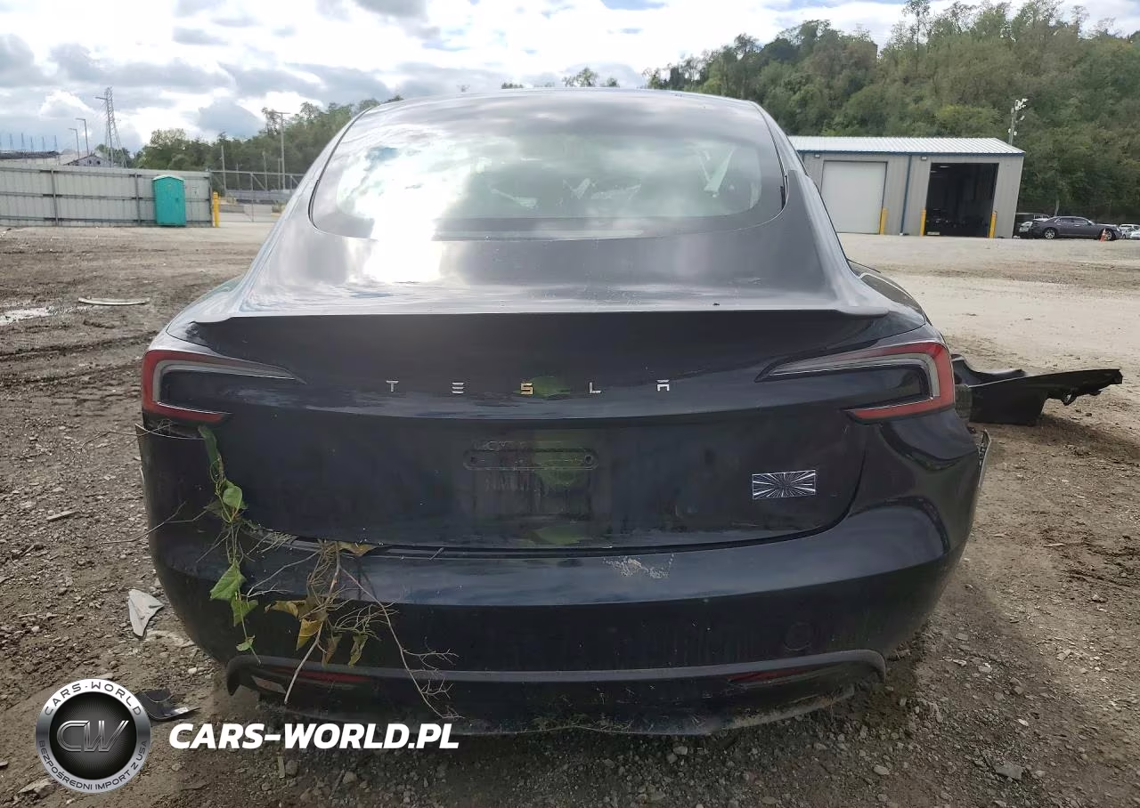 2024 Tesla Model 3 VIN:5YJ3E1ET7RF856501 - 6