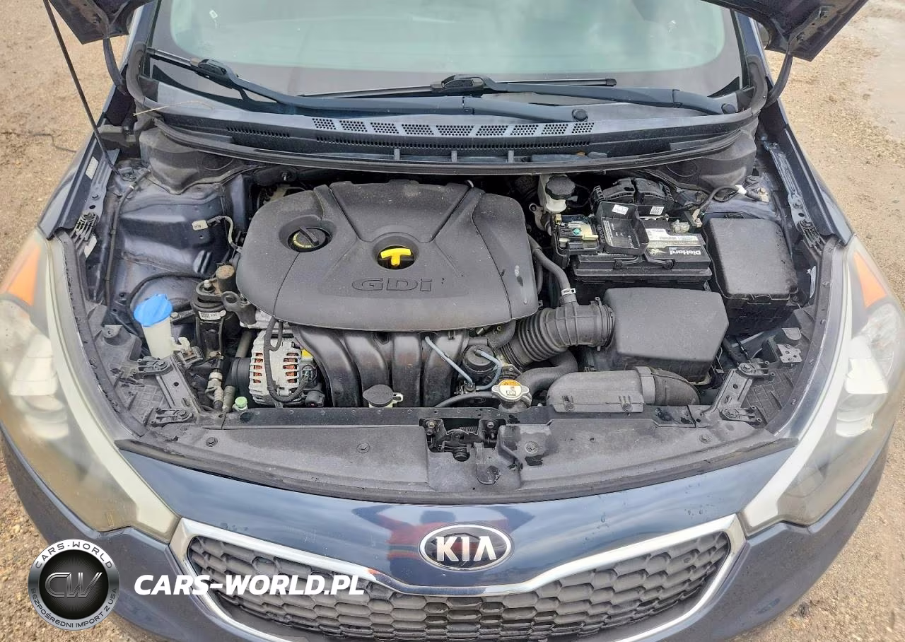 2016 Kia Forte5 Lx VIN:KNAFK5A87G5583344 - 11