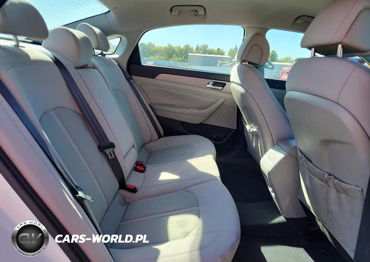 2015 Hyundai Sonata Eco VIN:5NPE24AA5FH196592 - 10