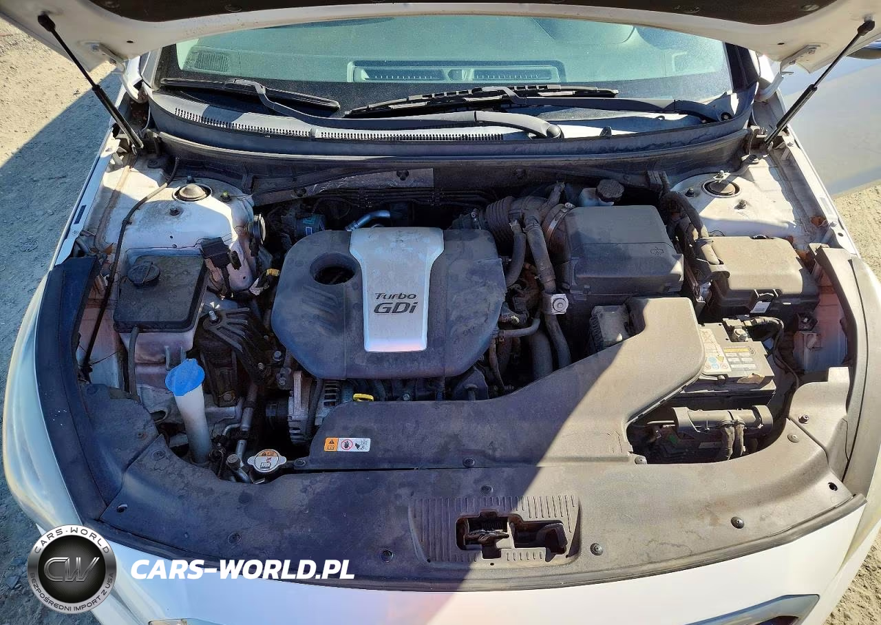 2015 Hyundai Sonata Eco VIN:5NPE24AA5FH196592 - 11