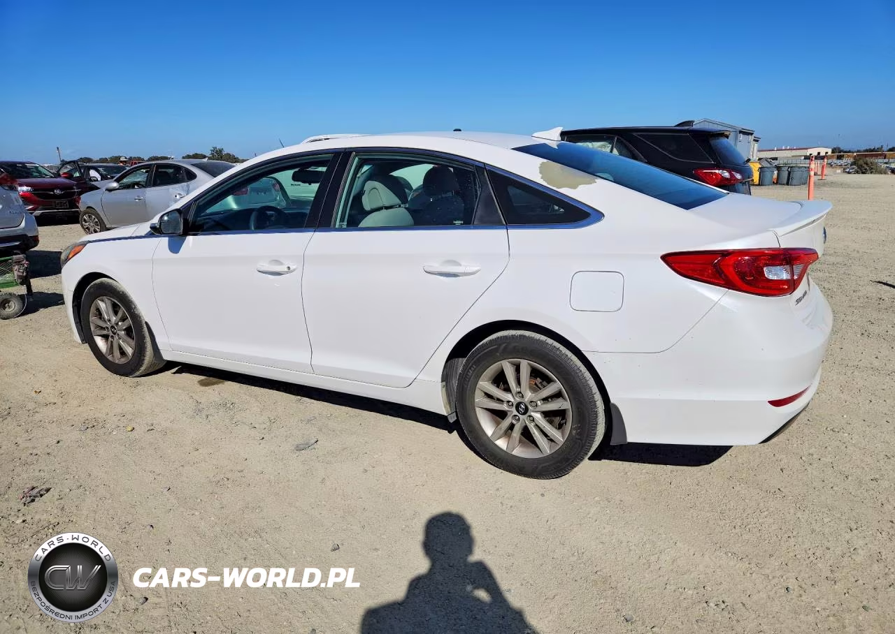 2015 Hyundai Sonata Eco VIN:5NPE24AA5FH196592 - 2