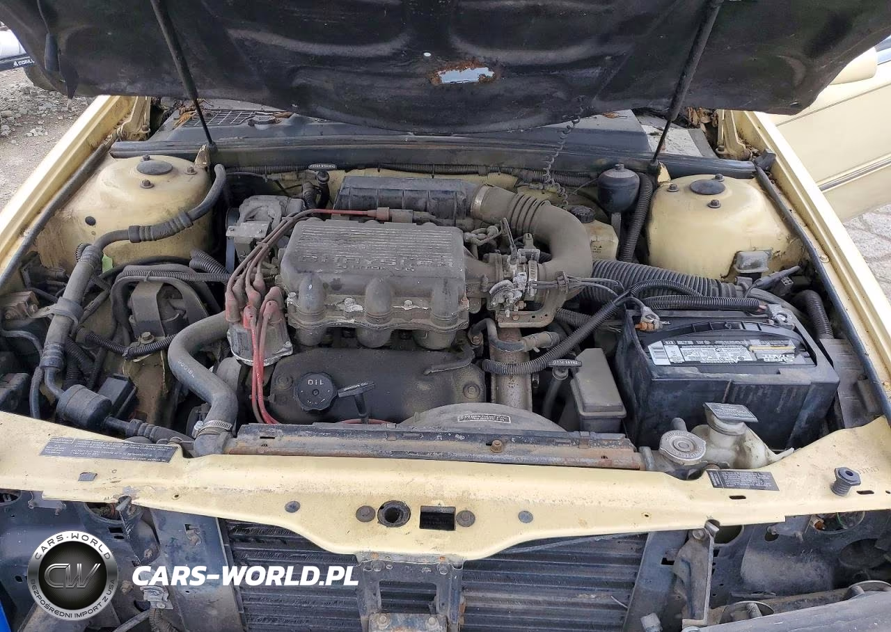 1991 Chrysler Tc By Maserati VIN:ZC2FS1205MB207527 - 11