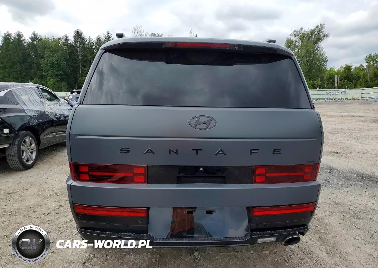 2025 Hyundai Santa Fe Calligraphy VIN:5NMP5DGLXSH088677 - 6