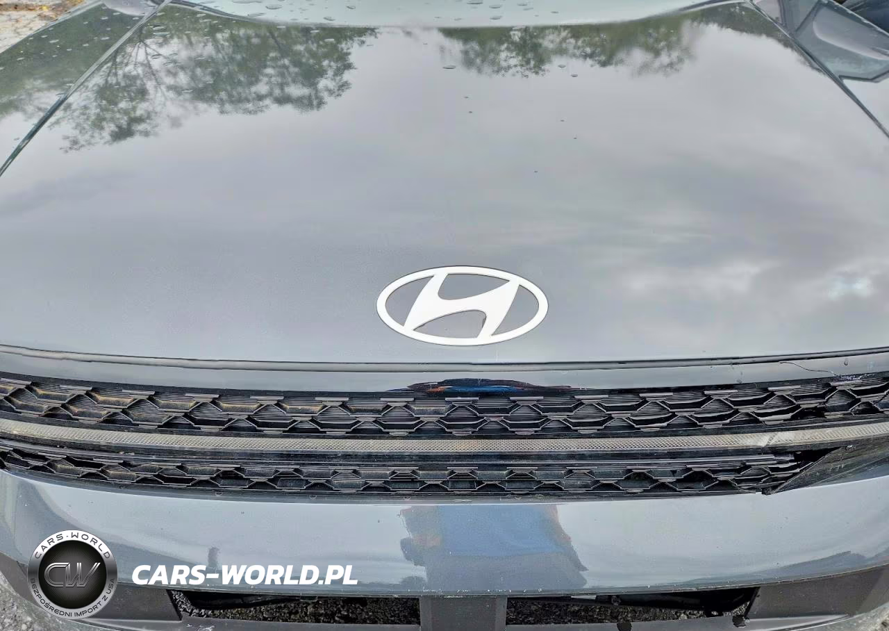 2025 Hyundai Santa Fe Sel VIN:5NMP24GL9SH123542 - 7