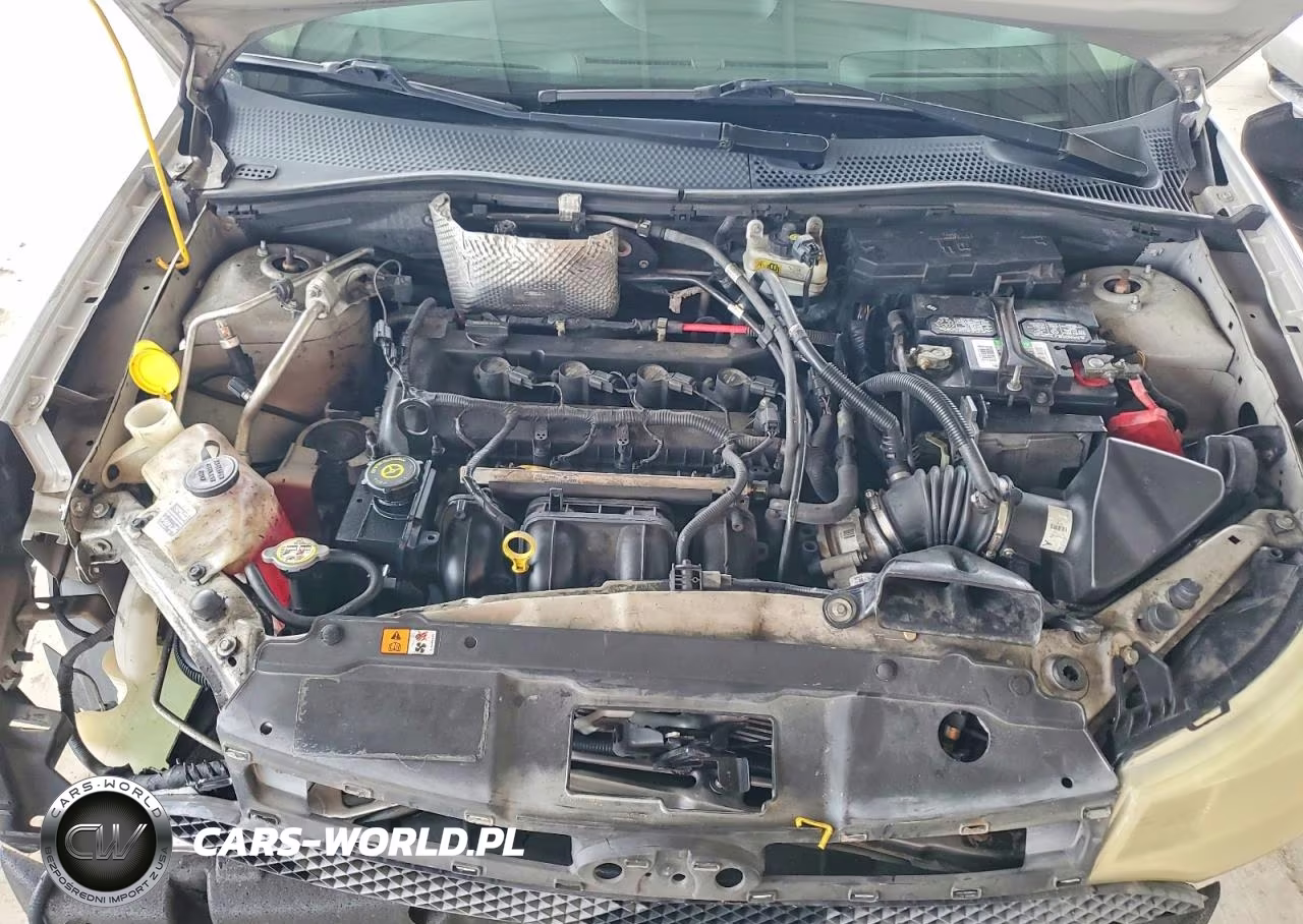 2010 Ford Focus Se VIN:1FAHP3FN8AW202172 - 11