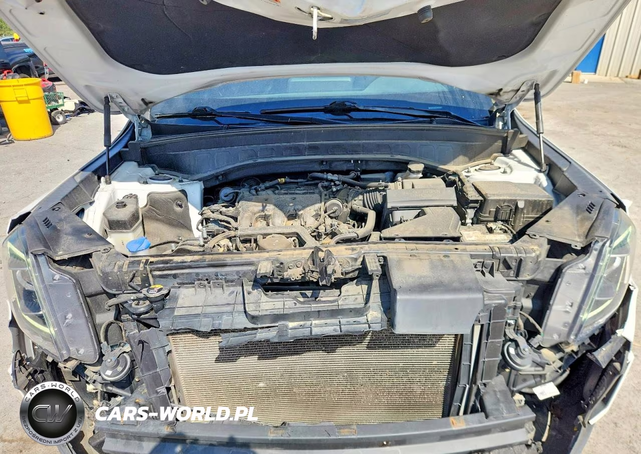 2020 Kia Telluride Lx VIN:5XYP24HC2LG093276 - 12