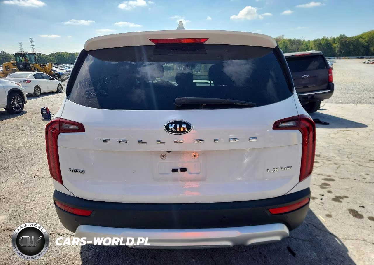2020 Kia Telluride Lx VIN:5XYP24HC2LG093276 - 6