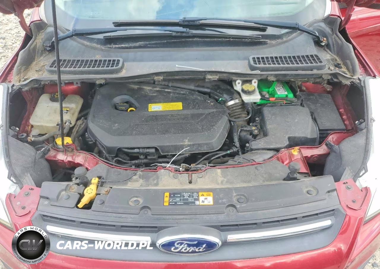 2013 Ford Escape Se VIN:1FMCU9GX7DUA37260 - 12