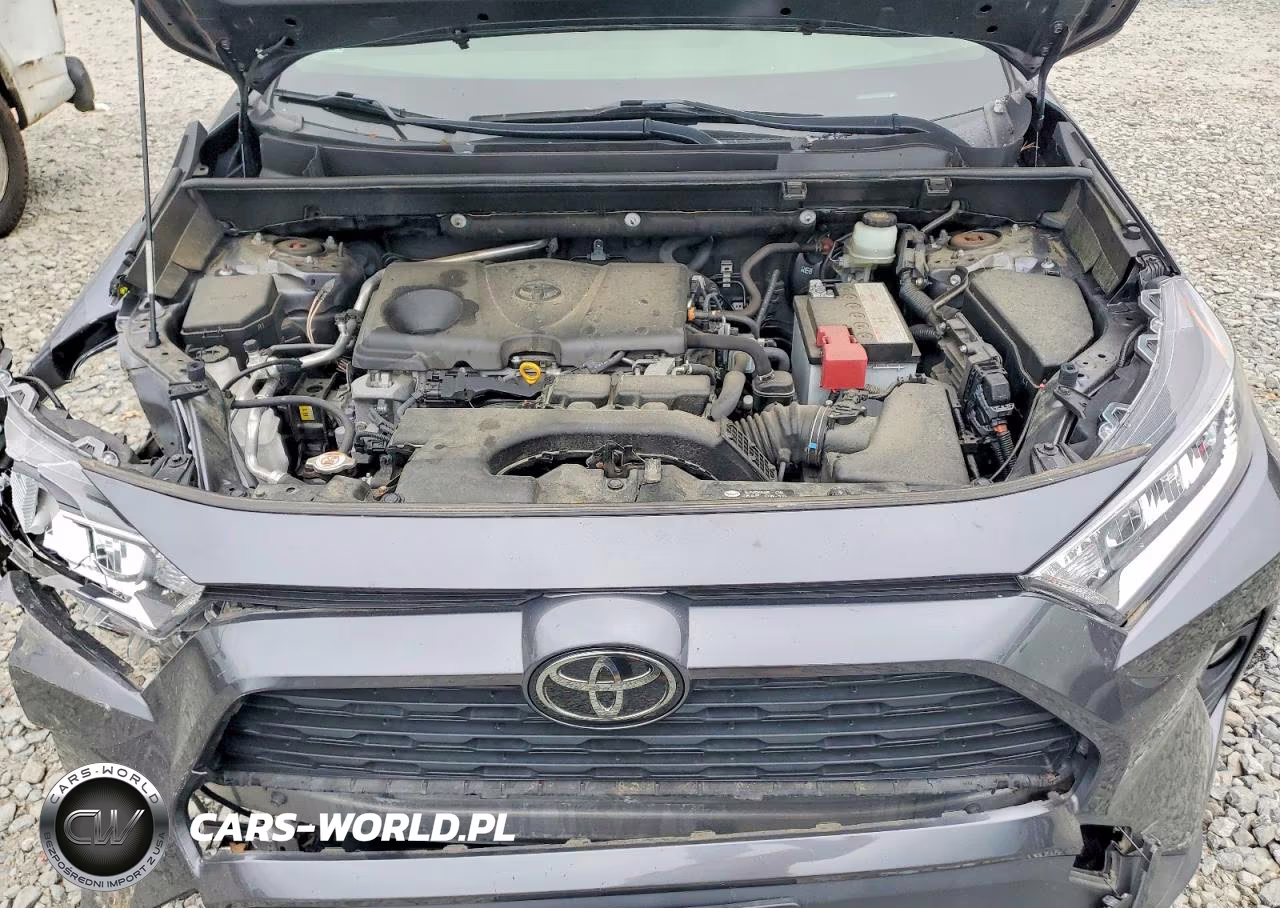 2019 Toyota Rav4 Xle VIN:JTMP1RFV6KD043708 - 12