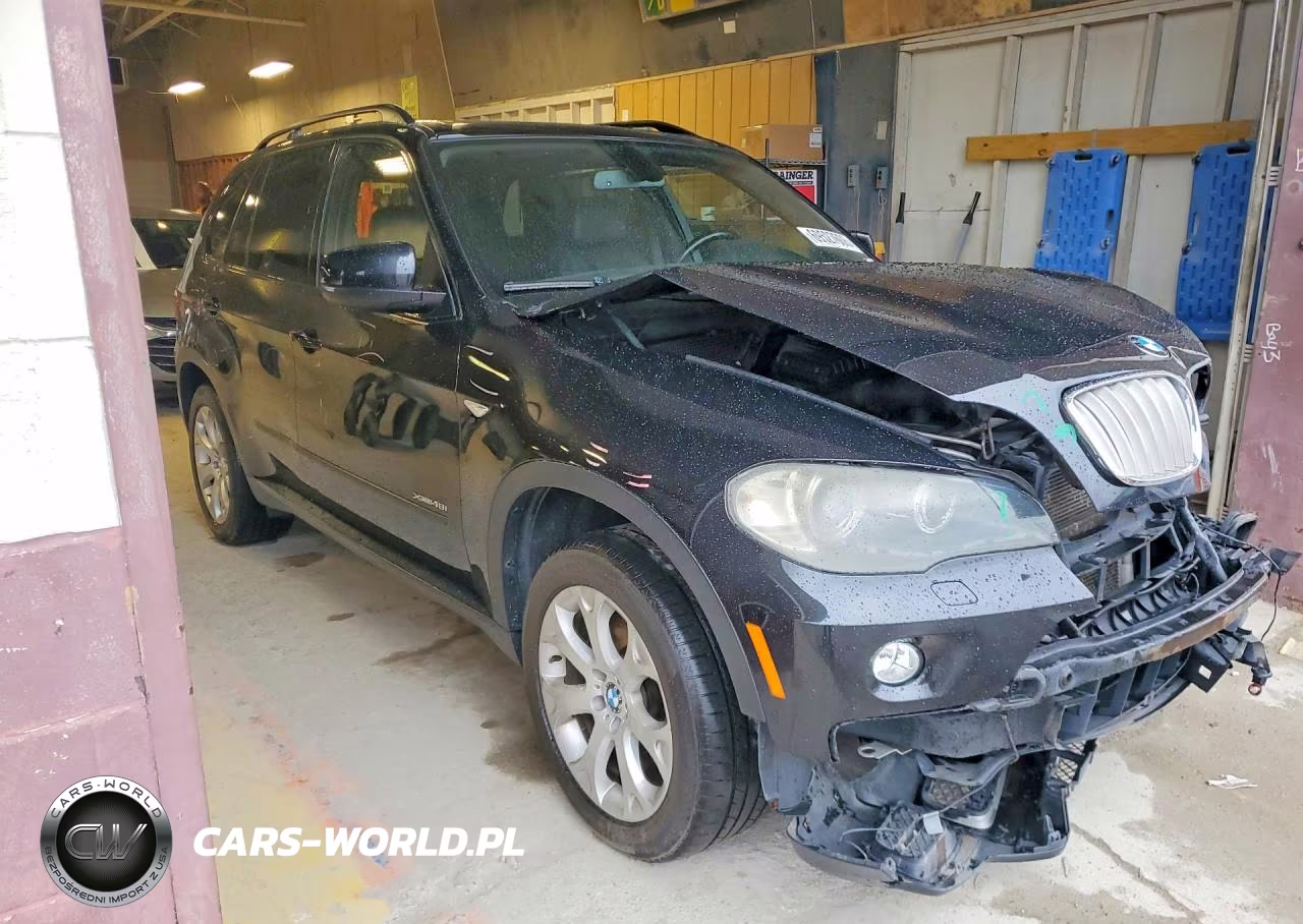 2009 BMW X5 xDrive48I VIN:5UXFE835X9L171561 - 4