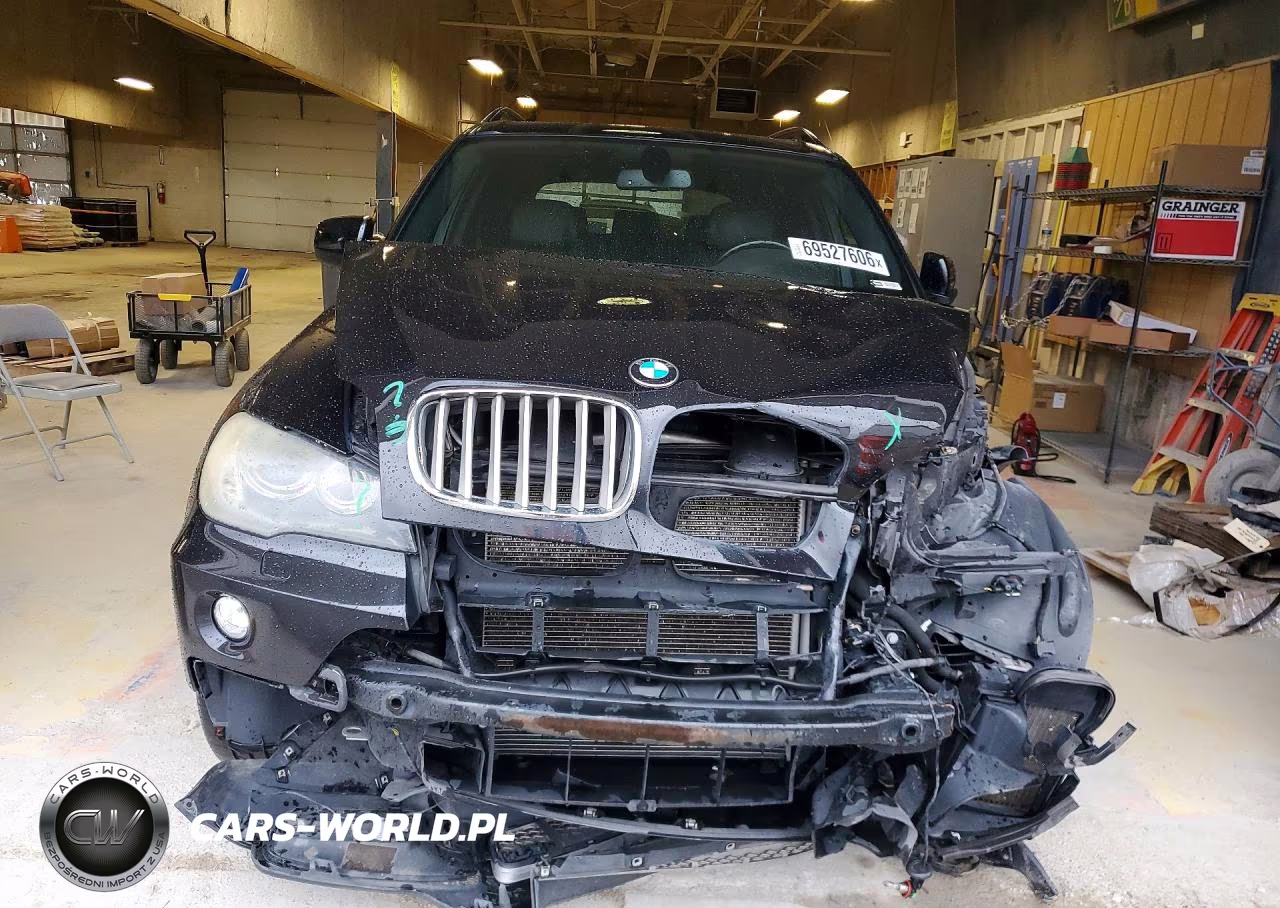 2009 BMW X5 xDrive48I VIN:5UXFE835X9L171561 - 5