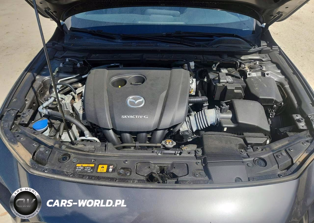 2019 Mazda 3 VIN:JM1BPAJM5K1138481 - 11