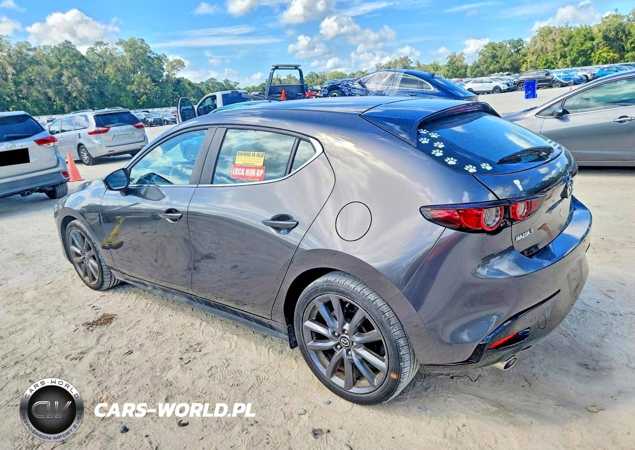 2019 Mazda 3 VIN:JM1BPAJM5K1138481 - 2
