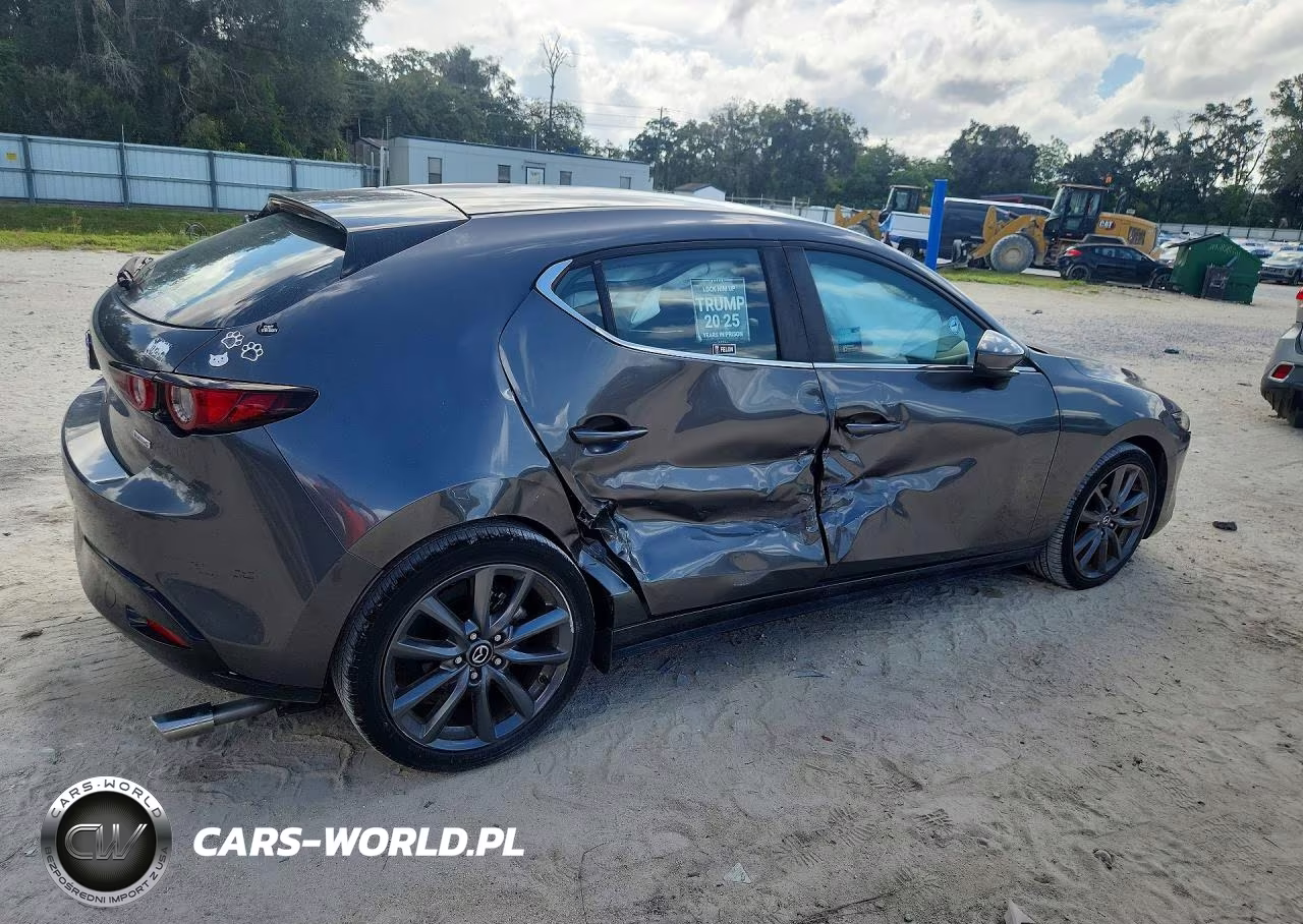 2019 Mazda 3 VIN:JM1BPAJM5K1138481 - 3