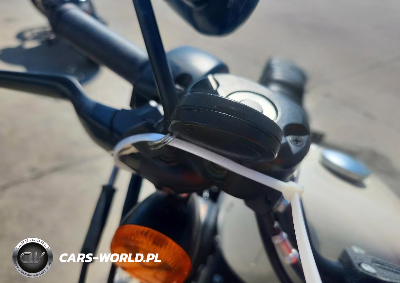 2022 Harley-Davidson Xl883 N VIN:1HD4LE219NB402590 - 8