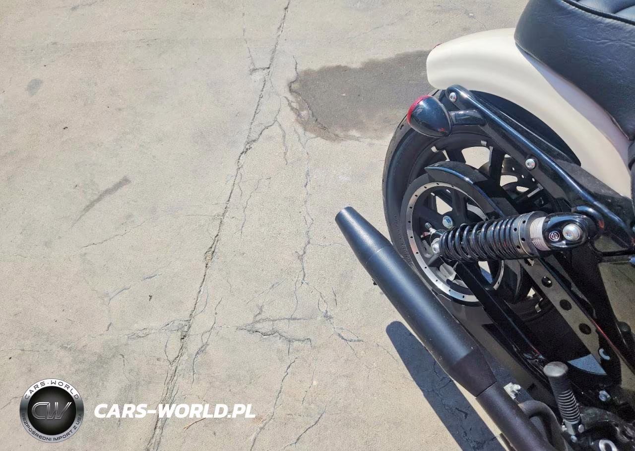 2022 Harley-Davidson Xl883 N VIN:1HD4LE219NB402590 - 9