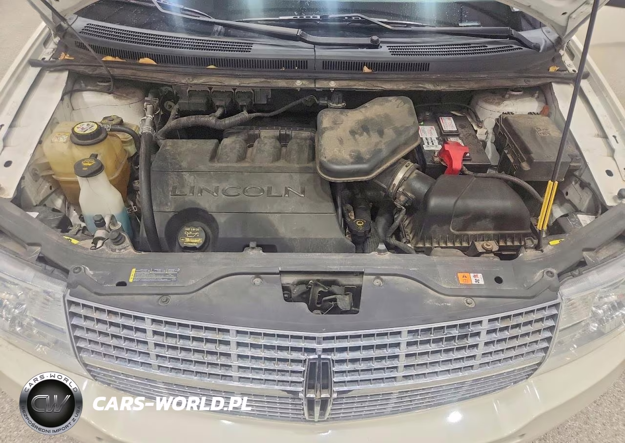 2008 Lincoln Mkx VIN:2LMDU88C38BJ19643 - 12