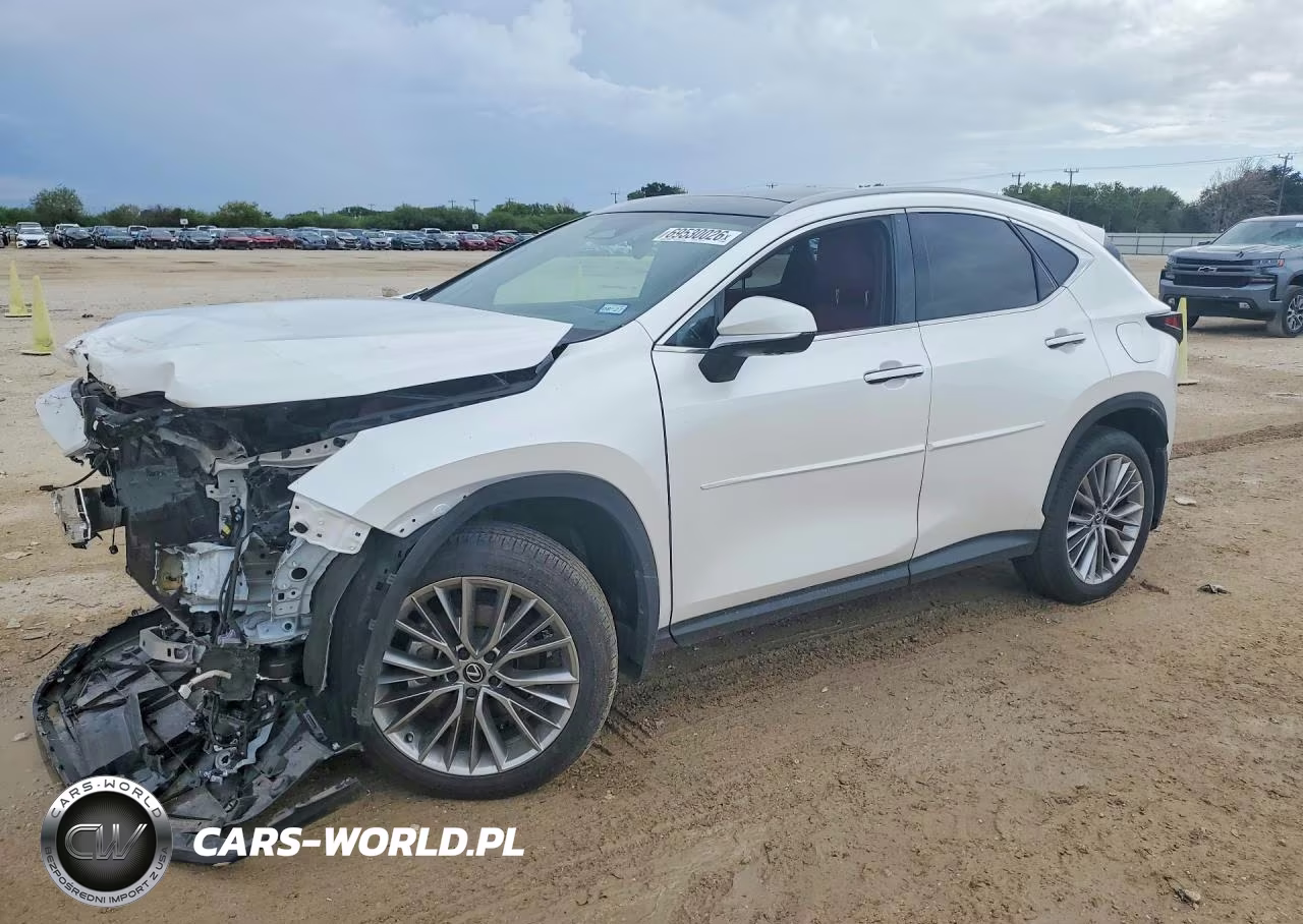 2025 Lexus Nx 350H Luxury VIN:2T2HKCEZ3SC050191 - 1