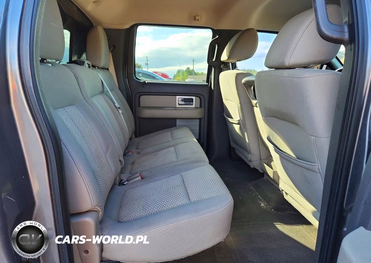 2010 Ford F150 Supercrew VIN:1FTFW1EV4AFD57439 - 10
