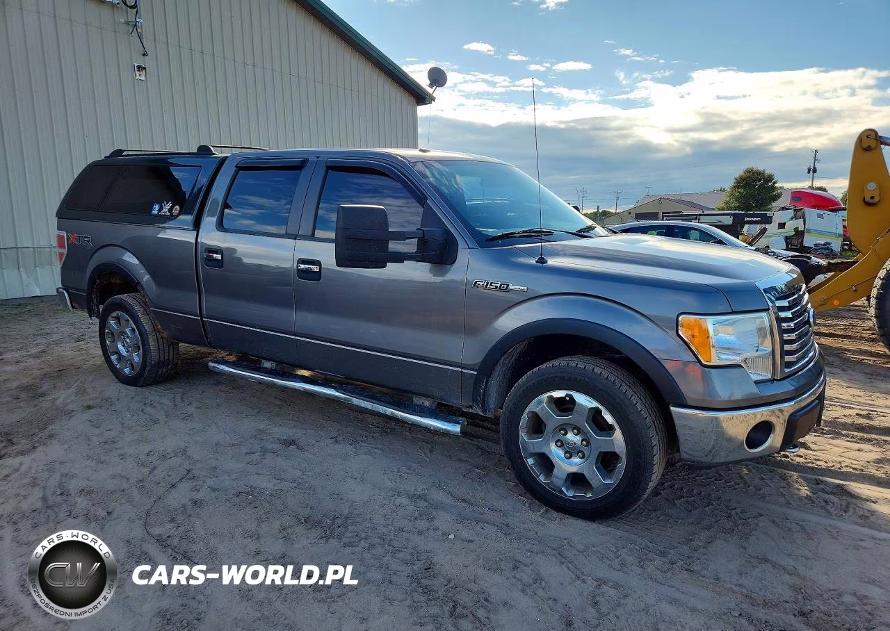 2010 Ford F150 Supercrew VIN:1FTFW1EV4AFD57439 - 4
